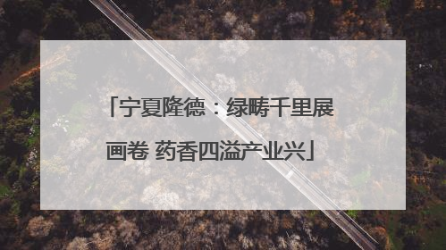 宁夏隆德：绿畴千里展画卷 药香四溢产业兴