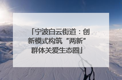 宁波白云街道：创新模式构筑“两新”群体关爱生态圈