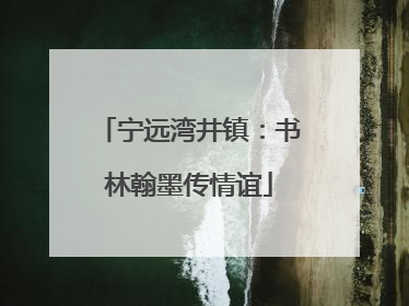 宁远湾井镇：书林翰墨传情谊