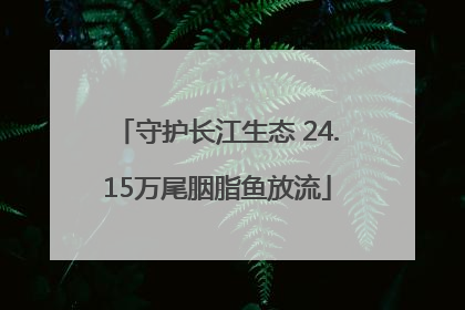守护长江生态 24.15万尾胭脂鱼放流