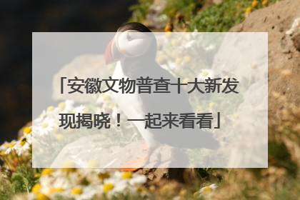 安徽文物普查十大新发现揭晓！一起来看看