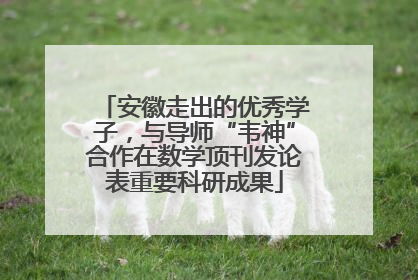 安徽走出的优秀学子，与导师“韦神”合作在数学顶刊发论表重要科研成果