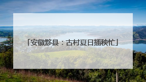 安徽黟县：古村夏日插秧忙