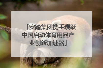 安踏集团携手璞跃中国启动体育用品产业创新加速器