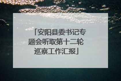 安阳县委书记专题会听取第十二轮巡察工作汇报