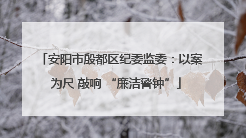 安阳市殷都区纪委监委：以案为尺 敲响 “廉洁警钟”