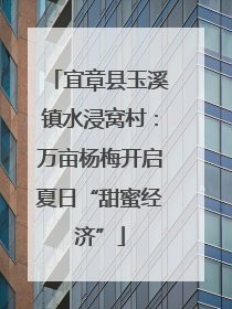 宜章县玉溪镇水浸窝村：万亩杨梅开启夏日“甜蜜经济”