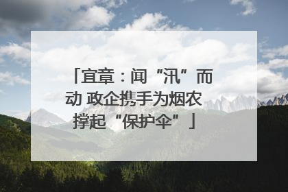 宜章：闻“汛”而动 政企携手为烟农撑起“保护伞”