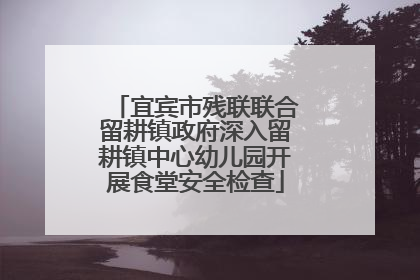 宜宾市残联联合留耕镇政府深入留耕镇中心幼儿园开展食堂安全检查