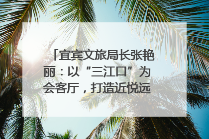宜宾文旅局长张艳丽：以“三江口”为会客厅，打造近悦远来的国际旅游城市｜文旅局长说