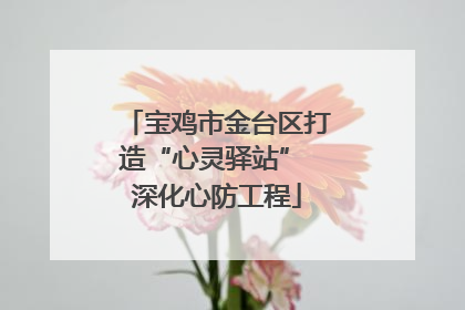 宝鸡市金台区打造“心灵驿站” 深化心防工程