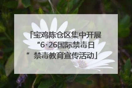 宝鸡陈仓区集中开展“6･26国际禁毒日”禁毒教育宣传活动
