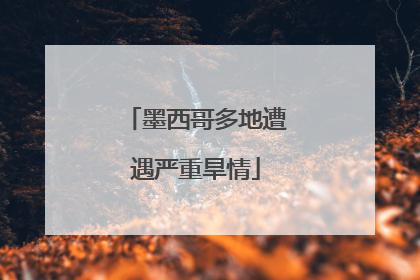 墨西哥多地遭遇严重旱情