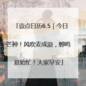 壹点日历6.5｜今日芒种！风吹麦成浪，蝉鸣夏始忙！大家早安