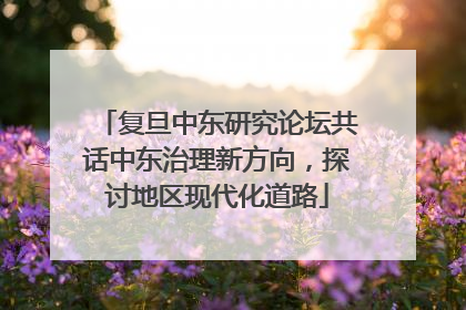 复旦中东研究论坛共话中东治理新方向，探讨地区现代化道路