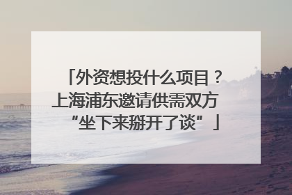 外资想投什么项目？上海浦东邀请供需双方“坐下来掰开了谈”
