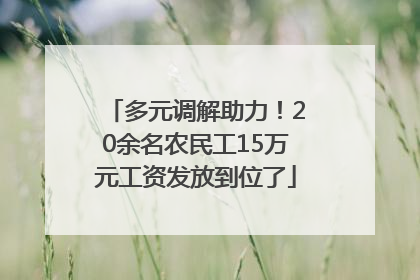 多元调解助力！20余名农民工15万元工资发放到位了