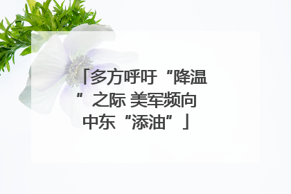 多方呼吁“降温”之际 美军频向中东“添油”