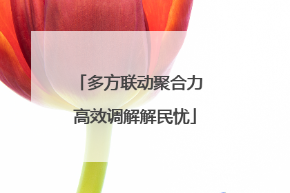 多方联动聚合力 高效调解解民忧