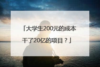 大学生200元的成本干了20亿的项目？