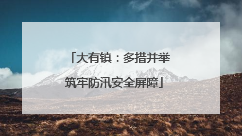 大有镇：多措并举筑牢防汛安全屏障
