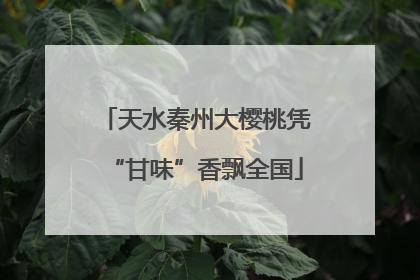 天水秦州大樱桃凭“甘味”香飘全国