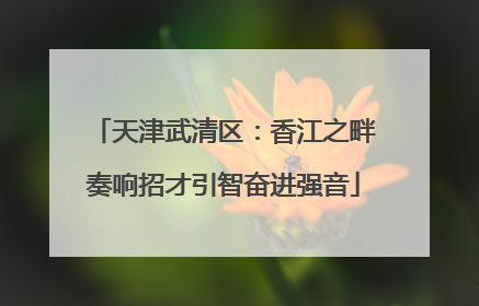 天津武清区：香江之畔奏响招才引智奋进强音