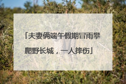 夫妻俩端午假期冒雨攀爬野长城，一人摔伤