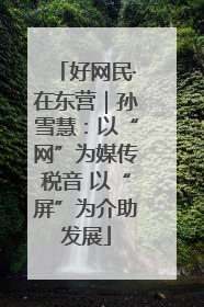 好网民·在东营｜孙雪慧：以“网”为媒传税音 以“屏”为介助发展