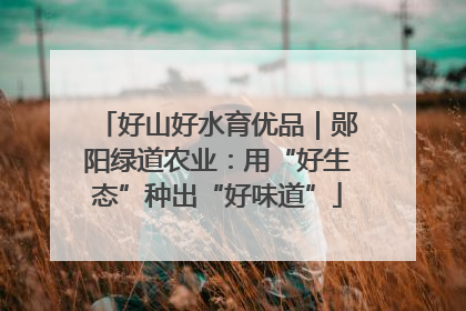 好山好水育优品｜郧阳绿道农业：用“好生态”种出“好味道”
