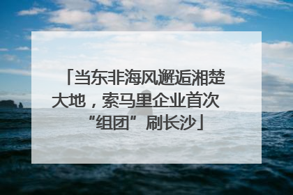 当东非海风邂逅湘楚大地，索马里企业首次“组团”刷长沙