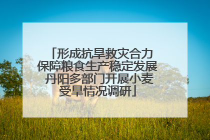 形成抗旱救灾合力 保障粮食生产稳定发展 丹阳多部门开展小麦受旱情况调研