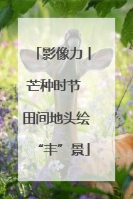 影像力丨芒种时节 田间地头绘“丰”景