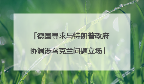 德国寻求与特朗普政府协调涉乌克兰问题立场