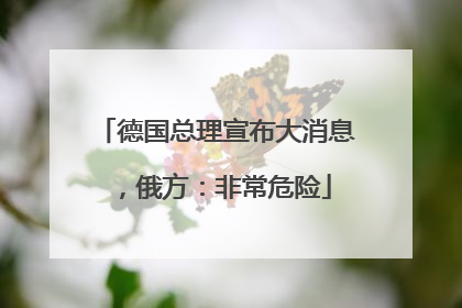 德国总理宣布大消息，俄方：非常危险