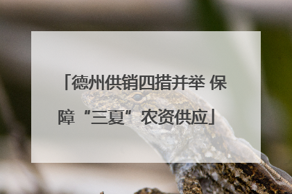 德州供销四措并举 保障“三夏”农资供应