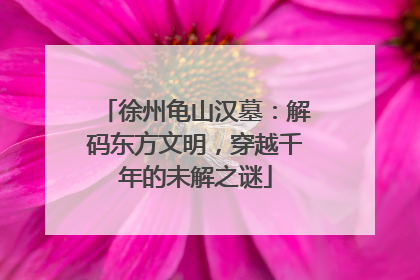 徐州龟山汉墓：解码东方文明，穿越千年的未解之谜