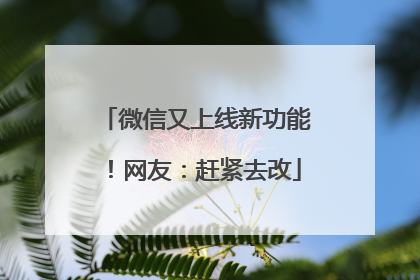 微信又上线新功能！网友：赶紧去改