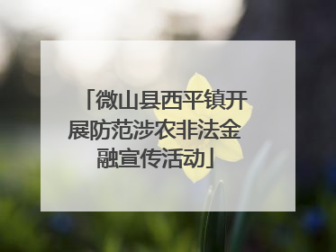 微山县西平镇开展防范涉农非法金融宣传活动