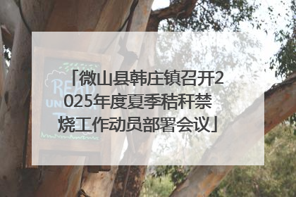 微山县韩庄镇召开2025年度夏季秸秆禁烧工作动员部署会议