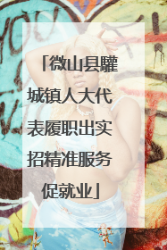 微山县驩城镇人大代表履职出实招精准服务促就业