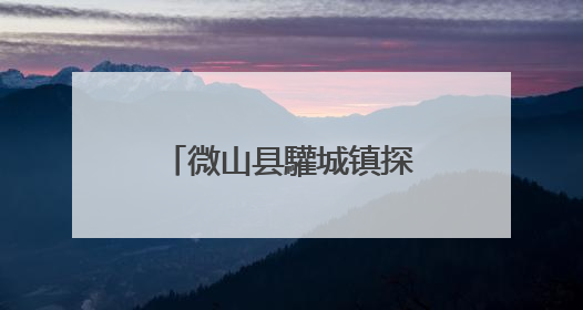 微山县驩城镇探索“林地+金蝉”生态种养新模式