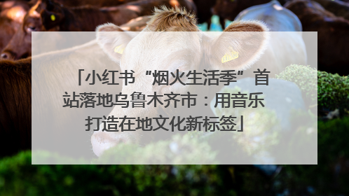小红书“烟火生活季”首站落地乌鲁木齐市：用音乐打造在地文化新标签