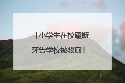 小学生在校磕断牙告学校被驳回