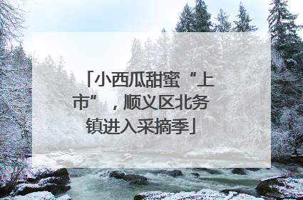 小西瓜甜蜜“上市”，顺义区北务镇进入采摘季