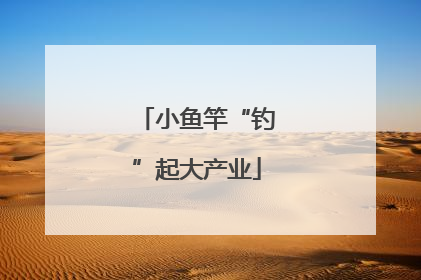 小鱼竿“钓”起大产业