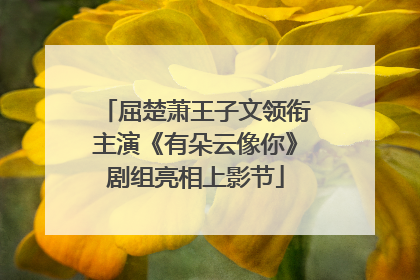 屈楚萧王子文领衔主演《有朵云像你》剧组亮相上影节
