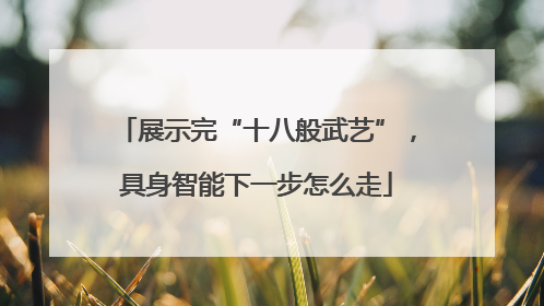 展示完“十八般武艺”，具身智能下一步怎么走