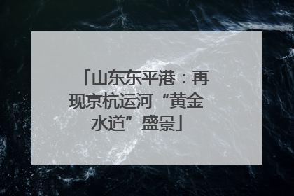 山东东平港：再现京杭运河“黄金水道”盛景