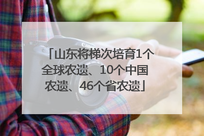 山东将梯次培育1个全球农遗、10个中国农遗、46个省农遗